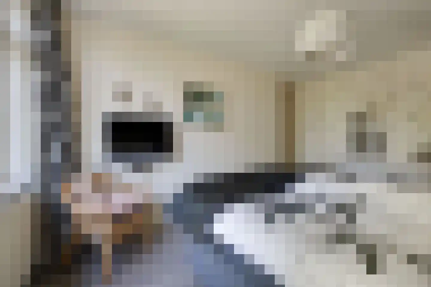 Hoornbloem 33 Apeldoorn thumbnail 18