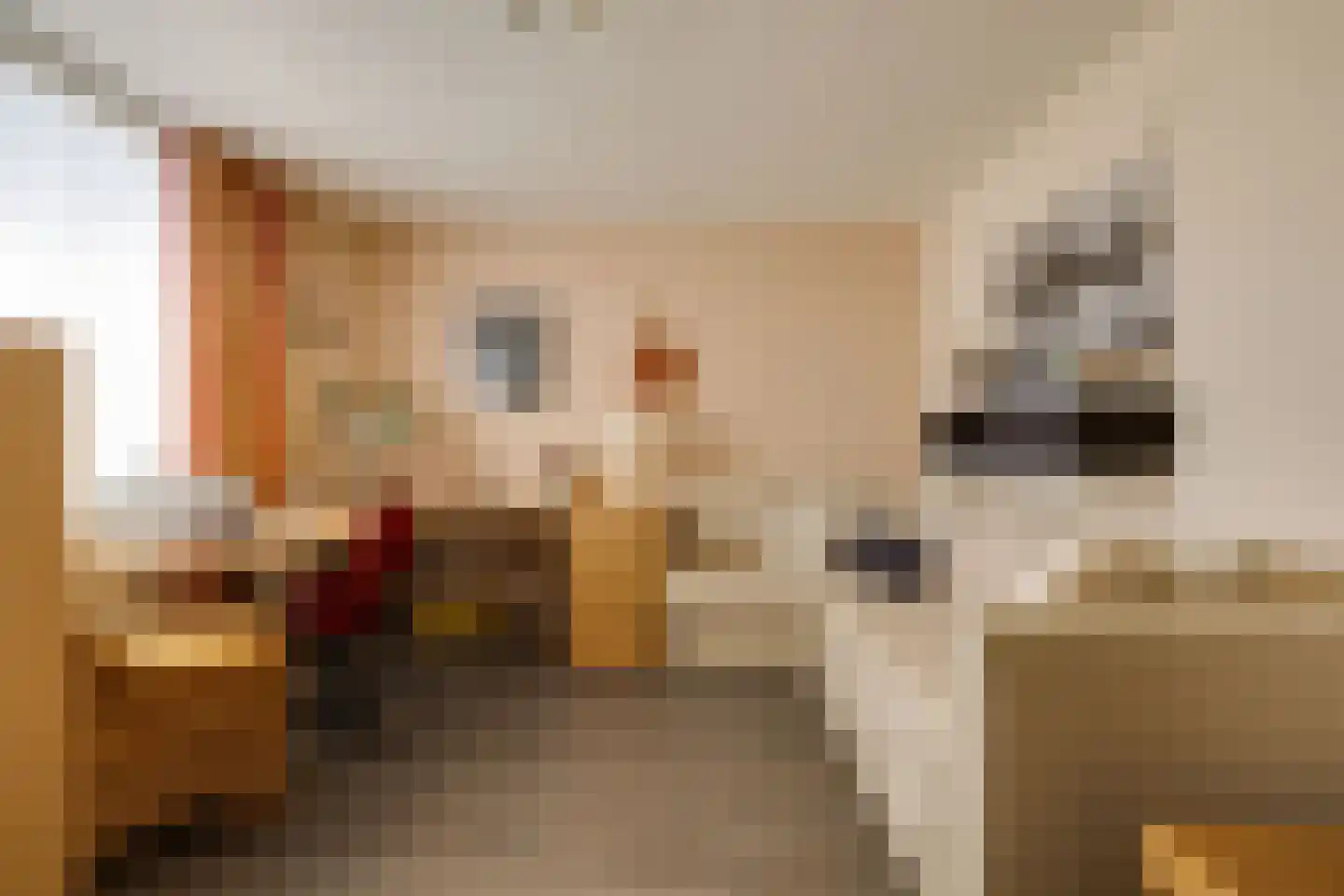Hoornbloem 33 Apeldoorn thumbnail 20