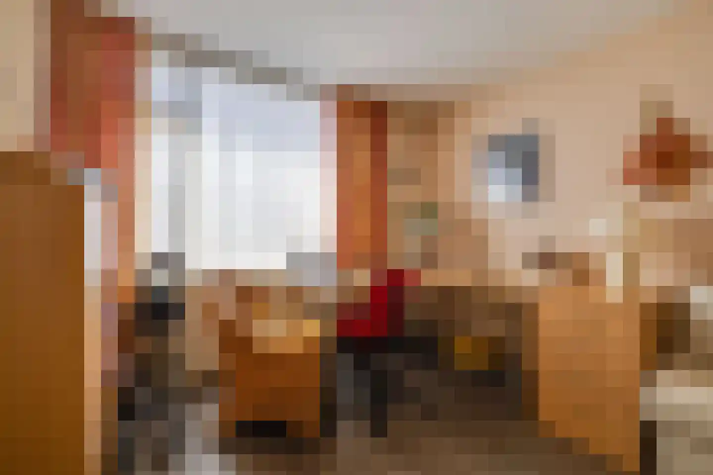 Hoornbloem 33 Apeldoorn thumbnail 21