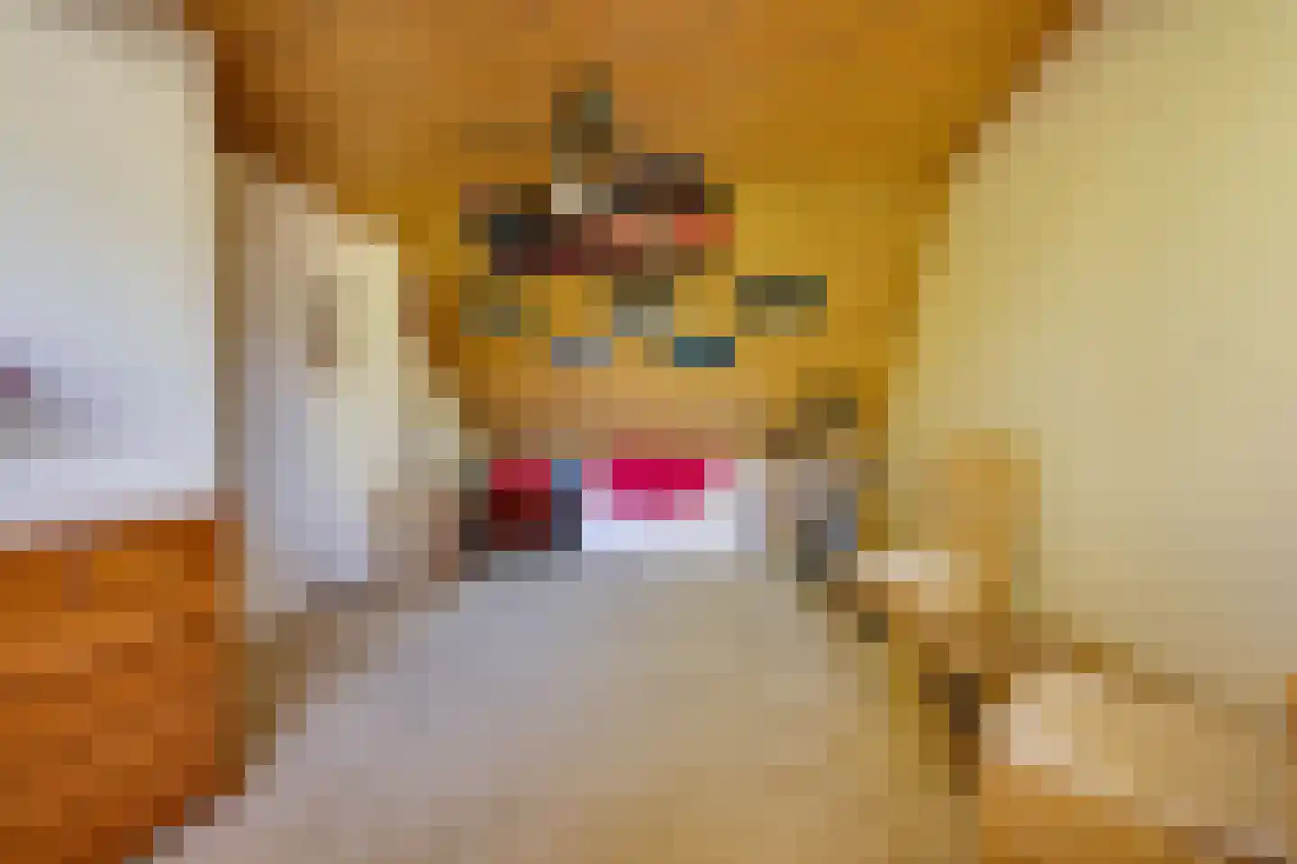 Hoornbloem 33 Apeldoorn thumbnail 30