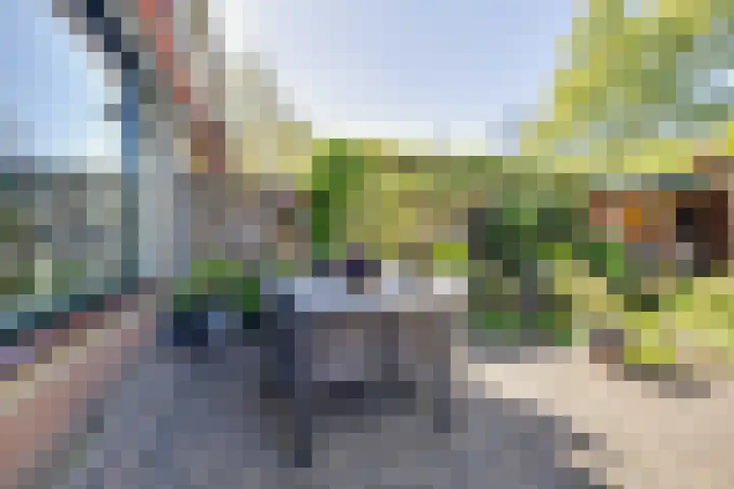 Hoornbloem 33 Apeldoorn thumbnail 32