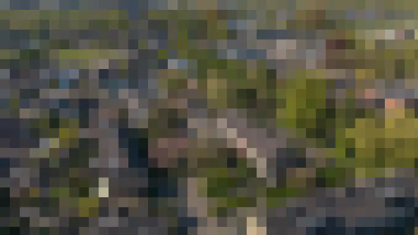 Hoornbloem 33 Apeldoorn thumbnail 38