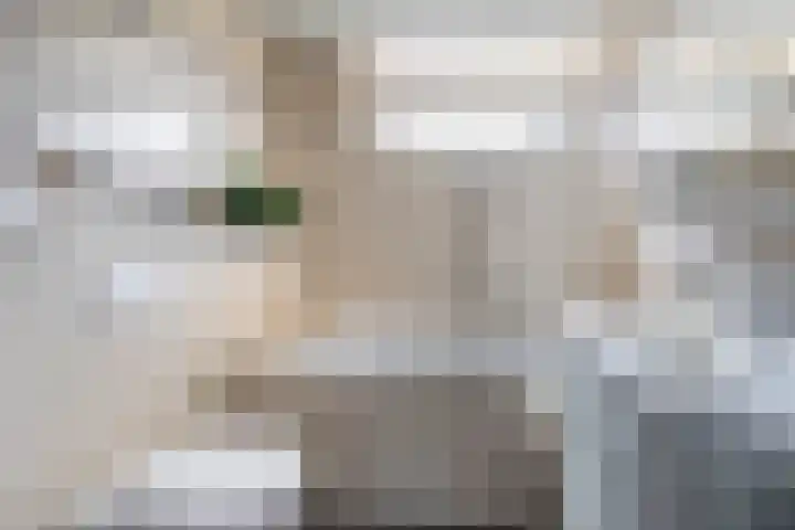 Hoornbloem 49 Tegelen thumbnail 12