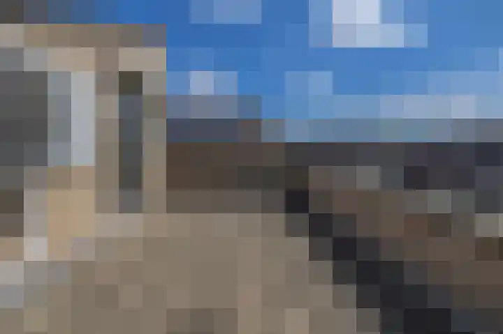 Hoornbloem 49 Tegelen thumbnail 20