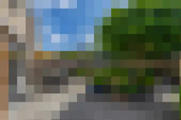 Hoornbloem 49 Tegelen thumbnail 22
