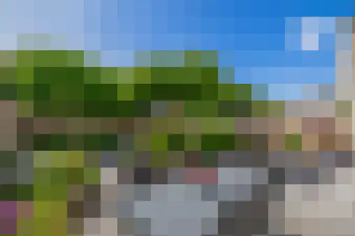 Hoornbloem 49 Tegelen thumbnail 23