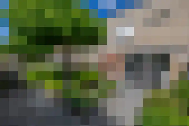 Hoornbloem 49 Tegelen thumbnail 24