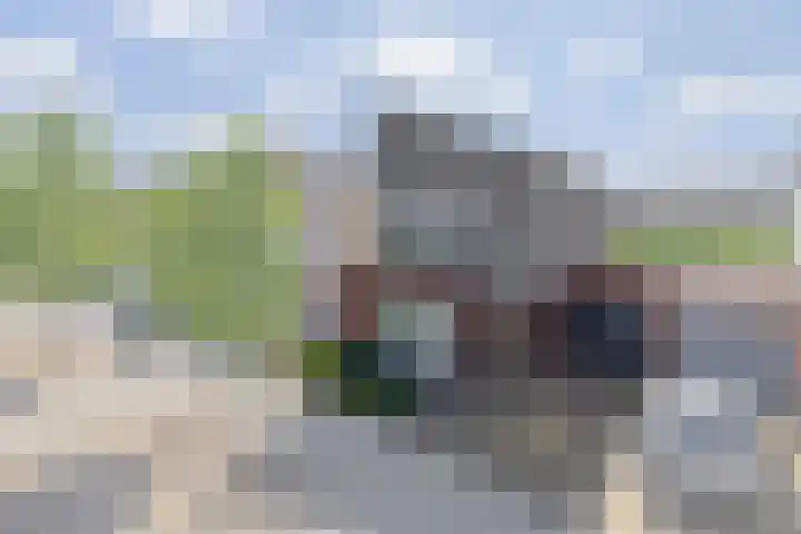 Hoornbloem 49 Tegelen thumbnail 34