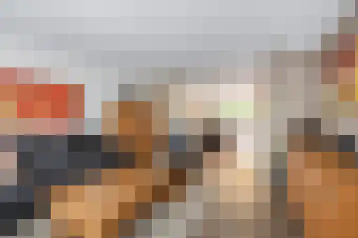 Hoornbloem 49 Tegelen thumbnail 4