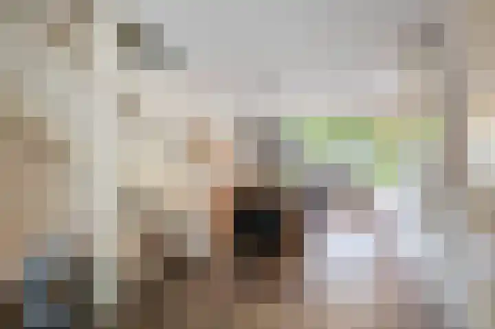 Hoornbloem 49 Tegelen thumbnail 5