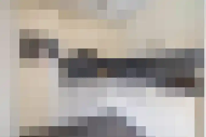 Hoornbloem 49 Tegelen thumbnail 7
