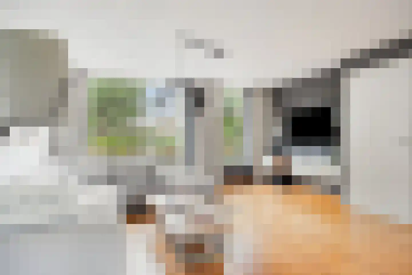 Hoornbloem 5 Grave thumbnail 14