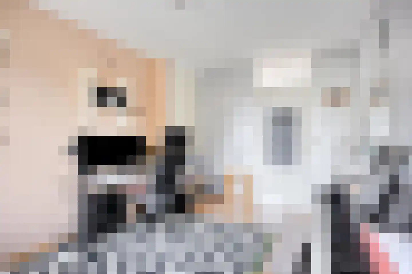 Hoornbloem 5 Grave thumbnail 27