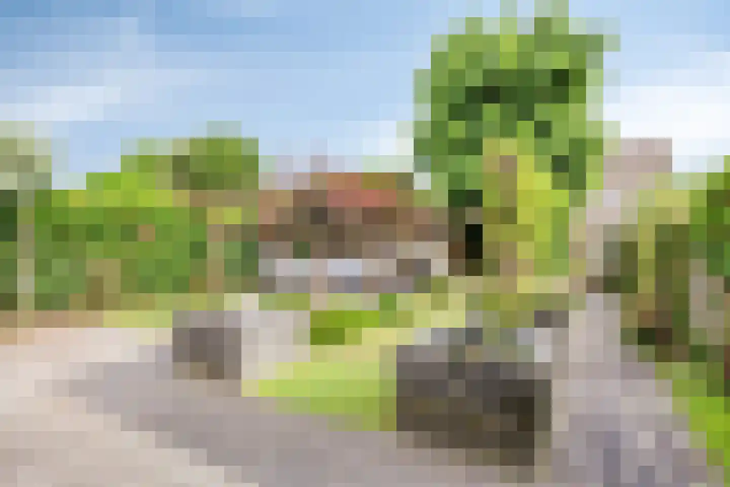 Hoornbloem 5 Grave thumbnail 35