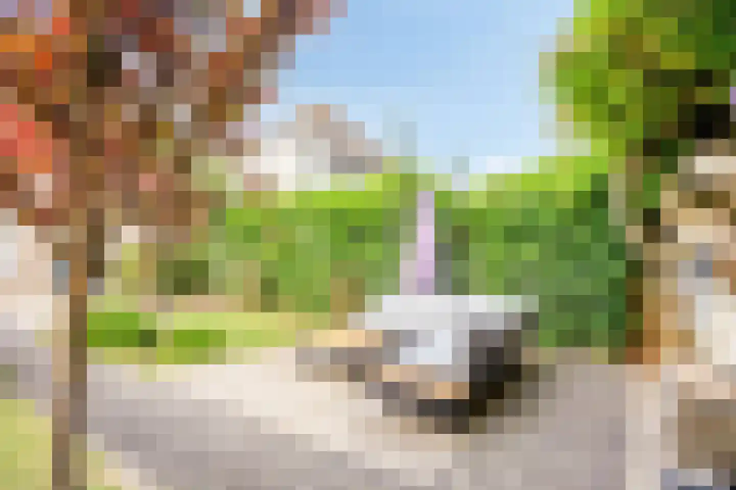 Hoornbloem 5 Grave thumbnail 36