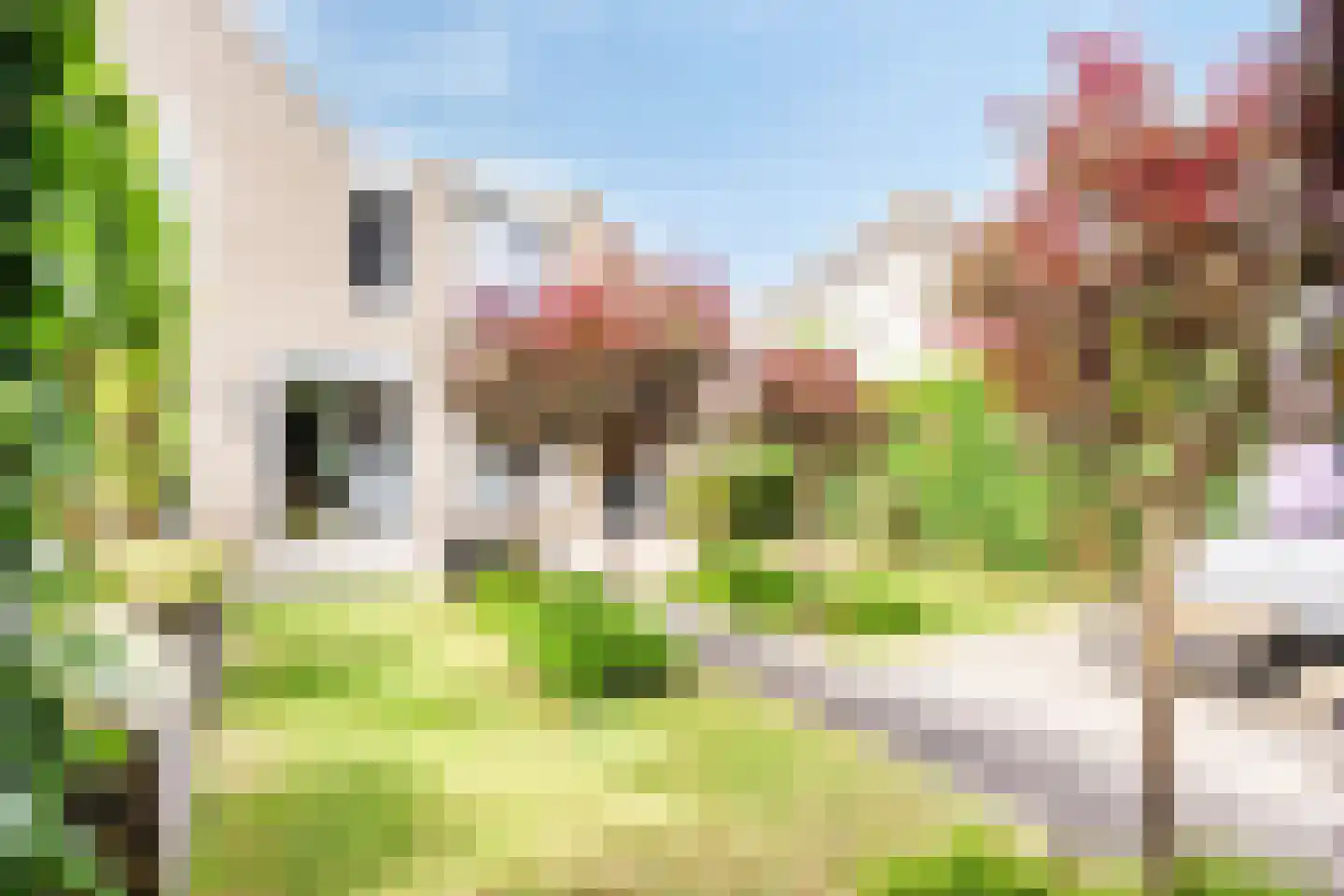 Hoornbloem 5 Grave thumbnail 37