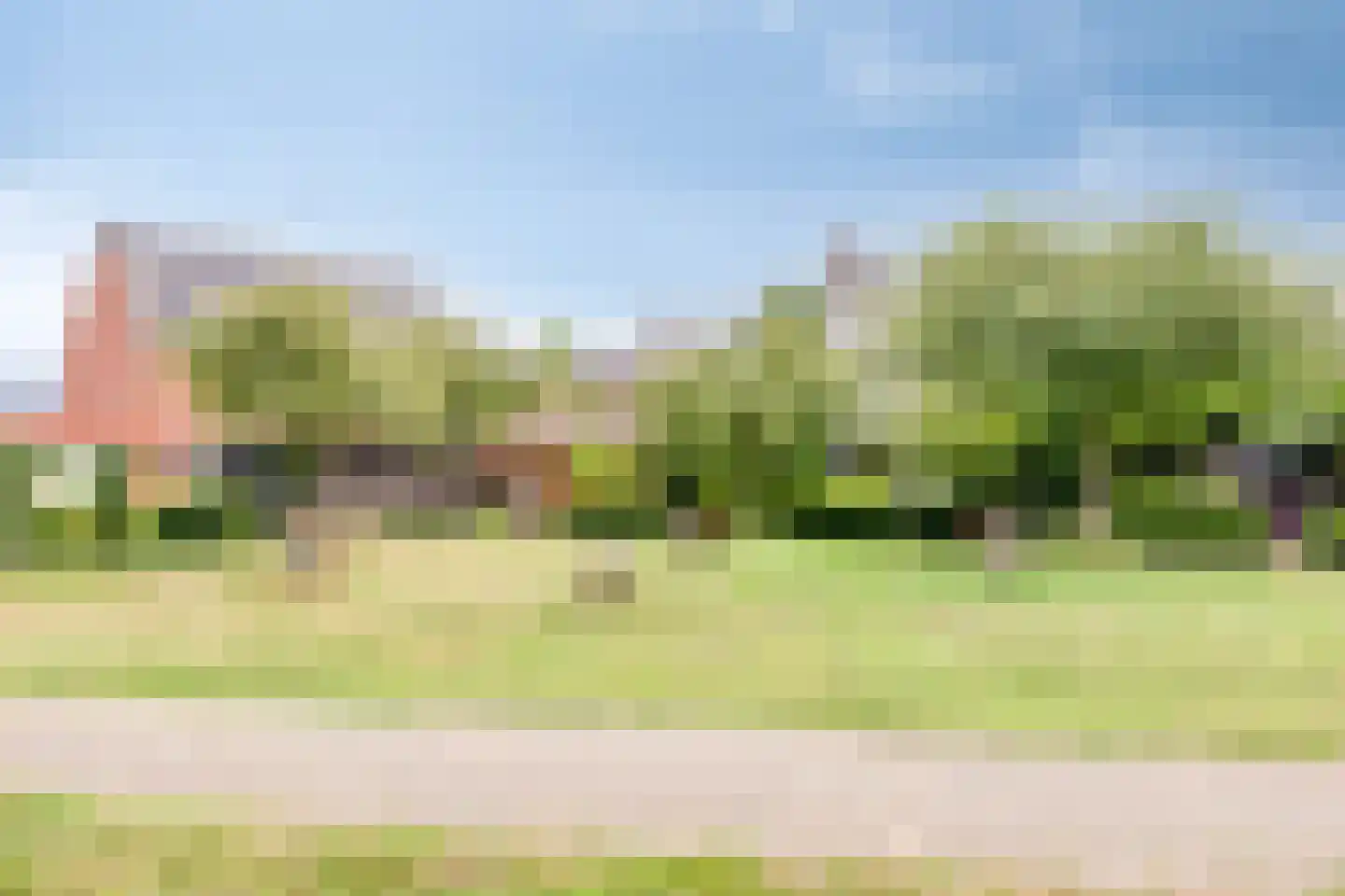 Hoornbloem 5 Grave thumbnail 39