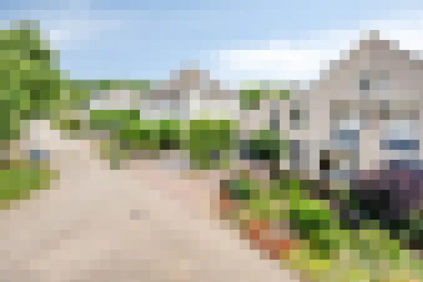Hoornbloem 5 Grave thumbnail 7