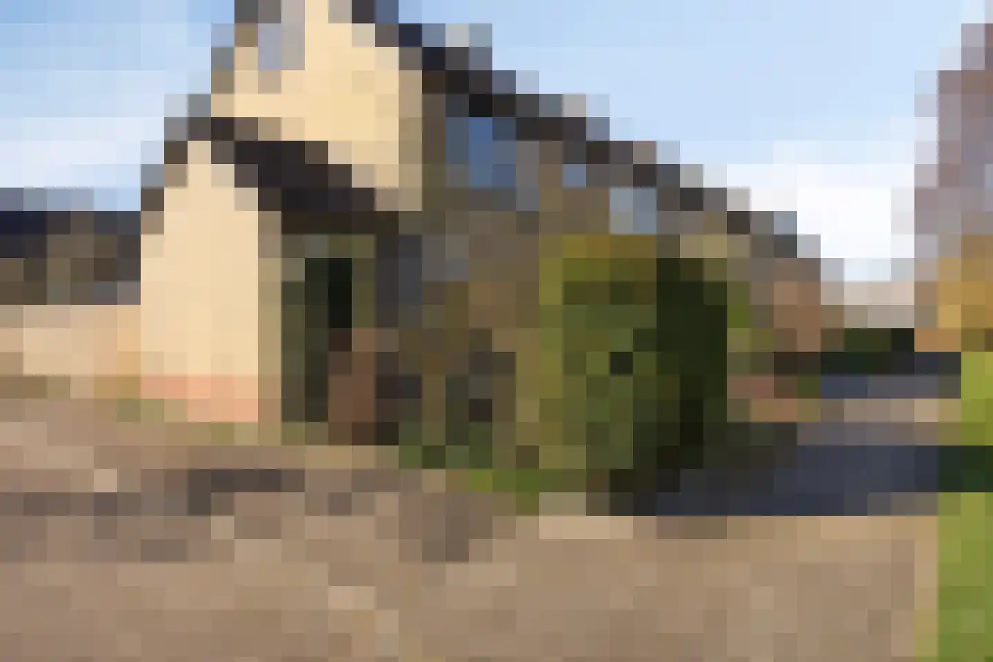 Hoornbloem 53 Apeldoorn thumbnail 31