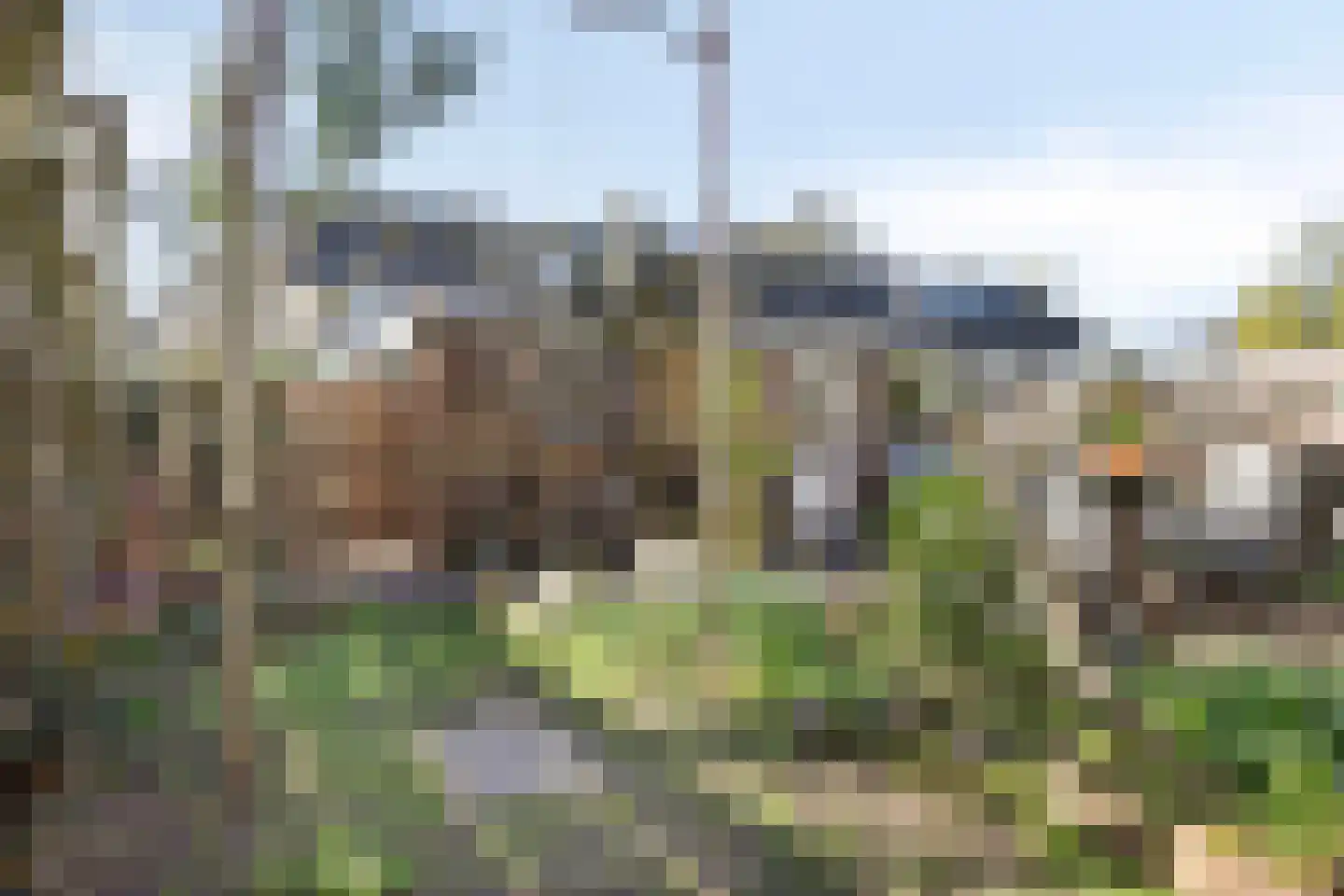 Hoornbloem 53 Apeldoorn thumbnail 33