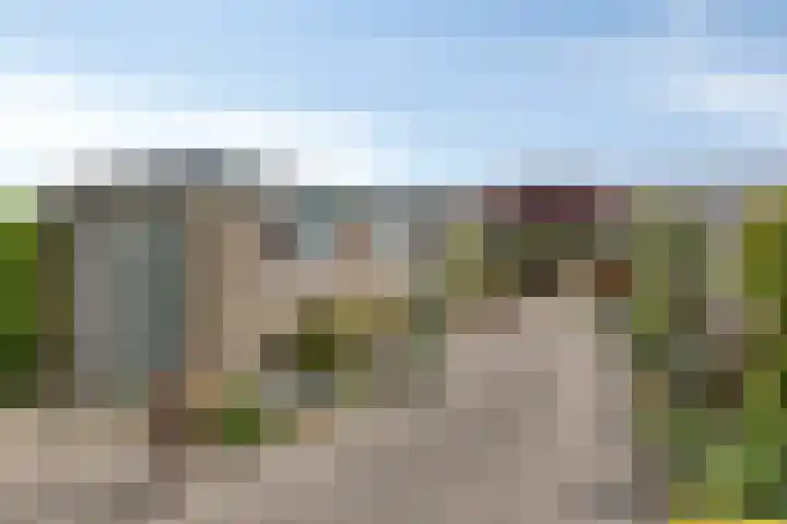 Hoornbloem 62 Apeldoorn thumbnail 13