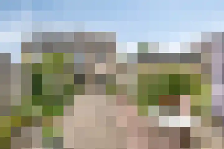 Hoornbloem 62 Apeldoorn thumbnail 14