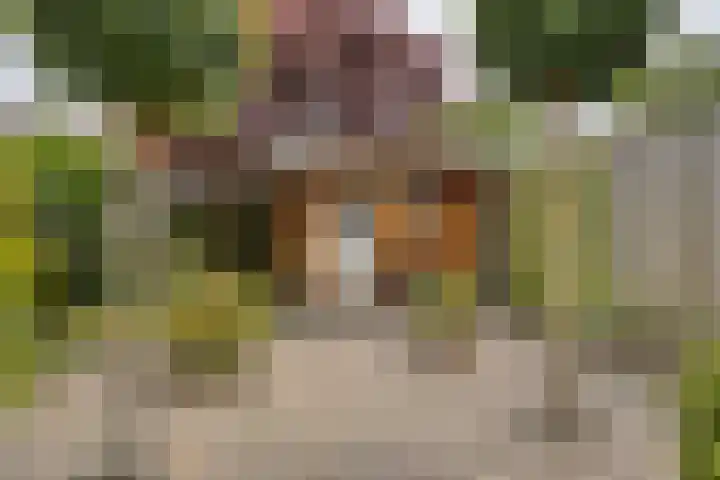 Hoornbloem 62 Apeldoorn thumbnail 15