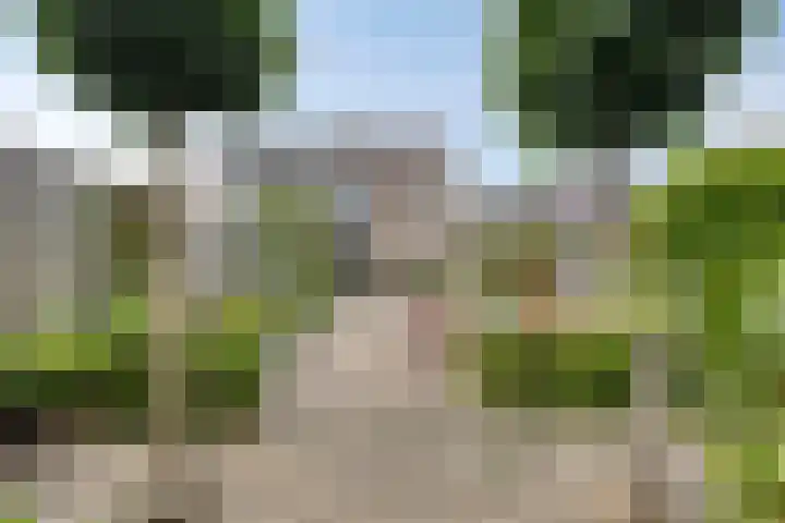 Hoornbloem 62 Apeldoorn thumbnail 16