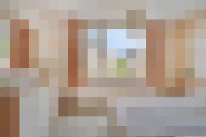 Hoornbloem 62 Apeldoorn thumbnail 19