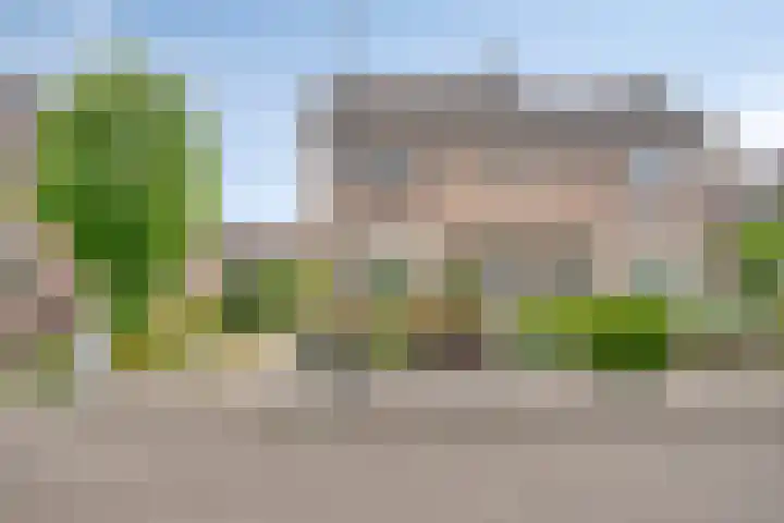 Hoornbloem 62 Apeldoorn thumbnail 4