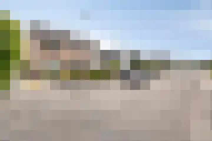 Hoornbloem 62 Apeldoorn thumbnail 5