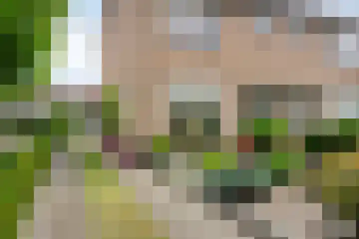 Hoornbloem 62 Apeldoorn thumbnail 6