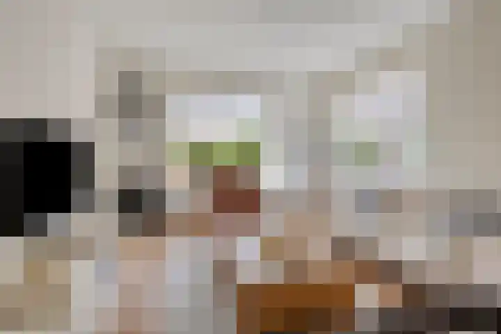 Hoornbloem 62 Apeldoorn thumbnail 8