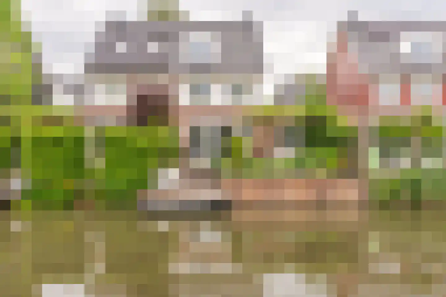 Hoornbloemlaan 21 Vleuten