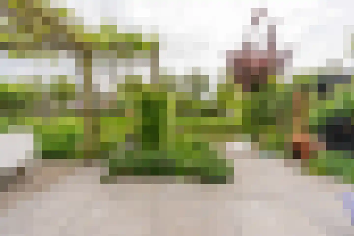 Hoornbloemlaan 21 Vleuten thumbnail 27