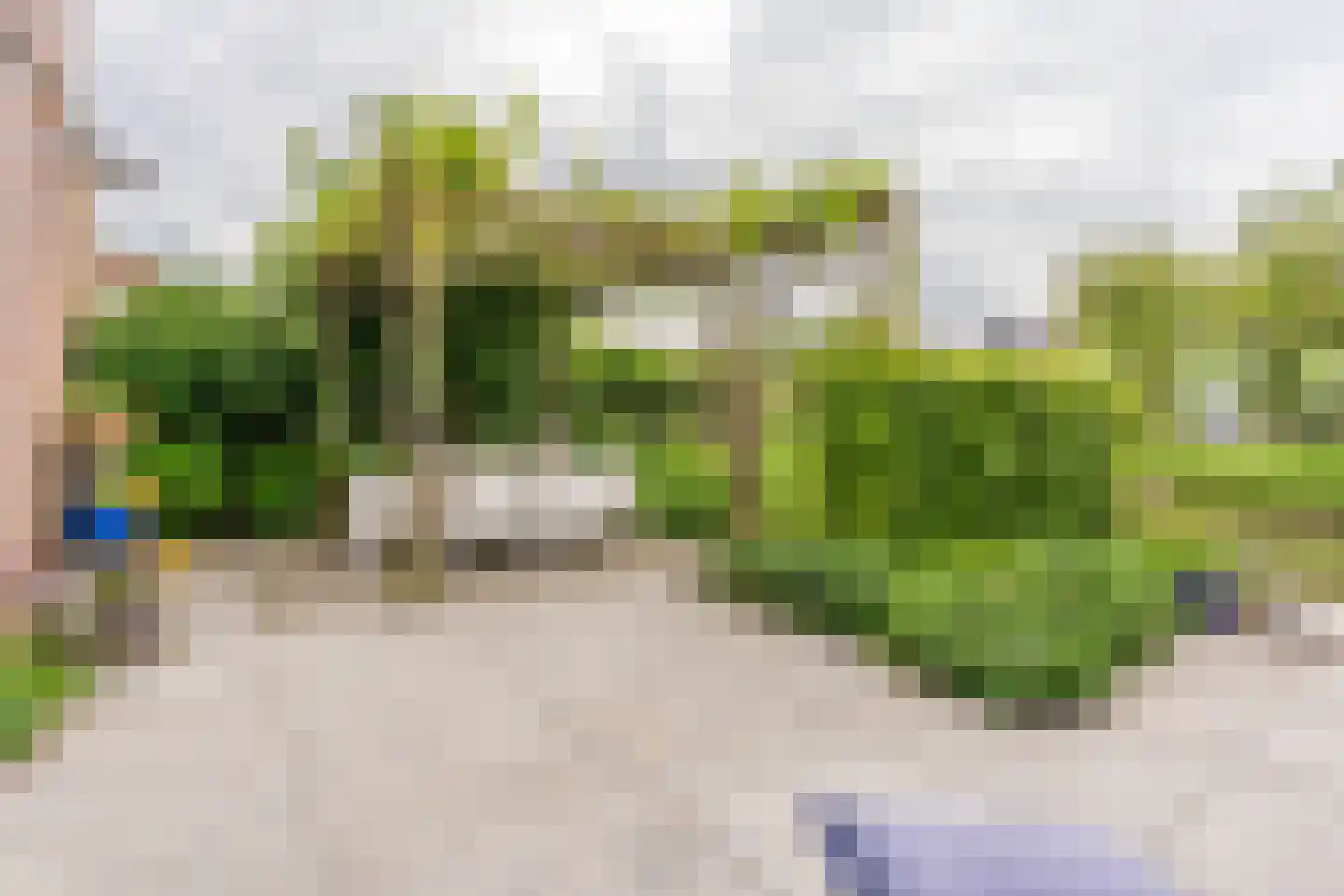 Hoornbloemlaan 21 Vleuten thumbnail 28
