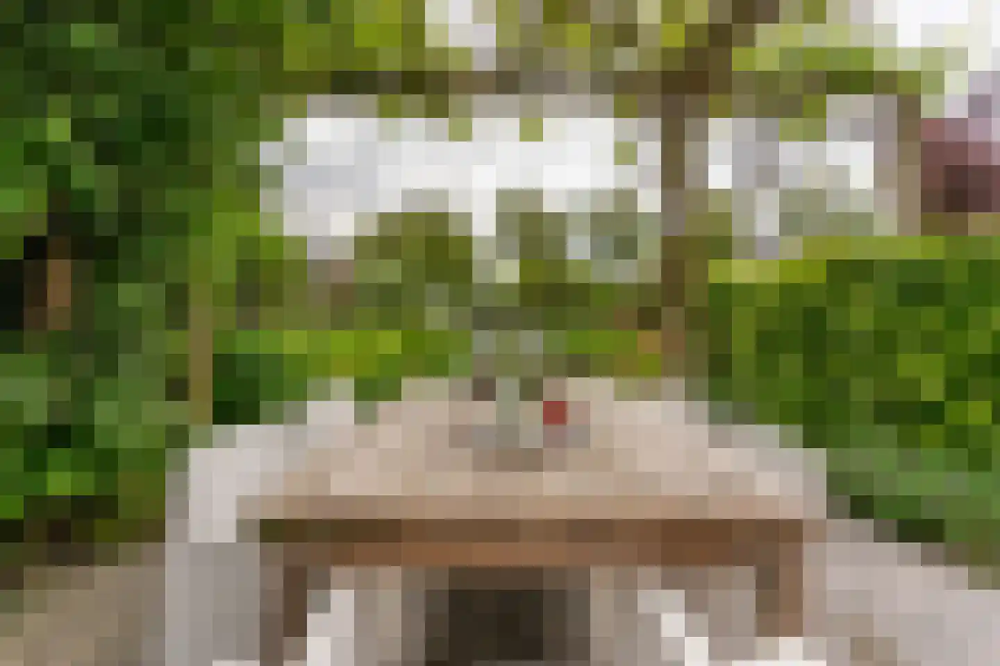 Hoornbloemlaan 21 Vleuten thumbnail 29