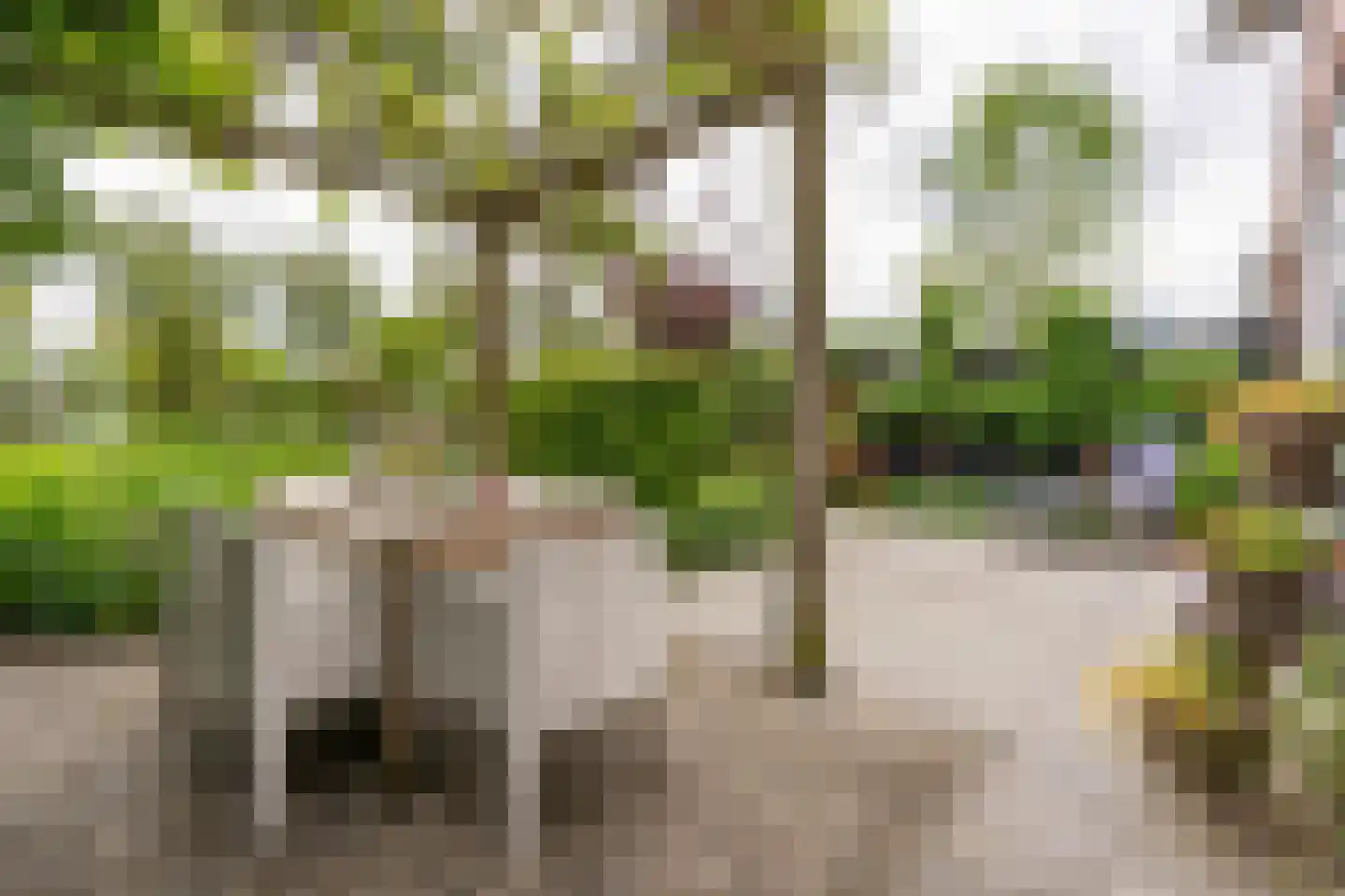 Hoornbloemlaan 21 Vleuten thumbnail 30