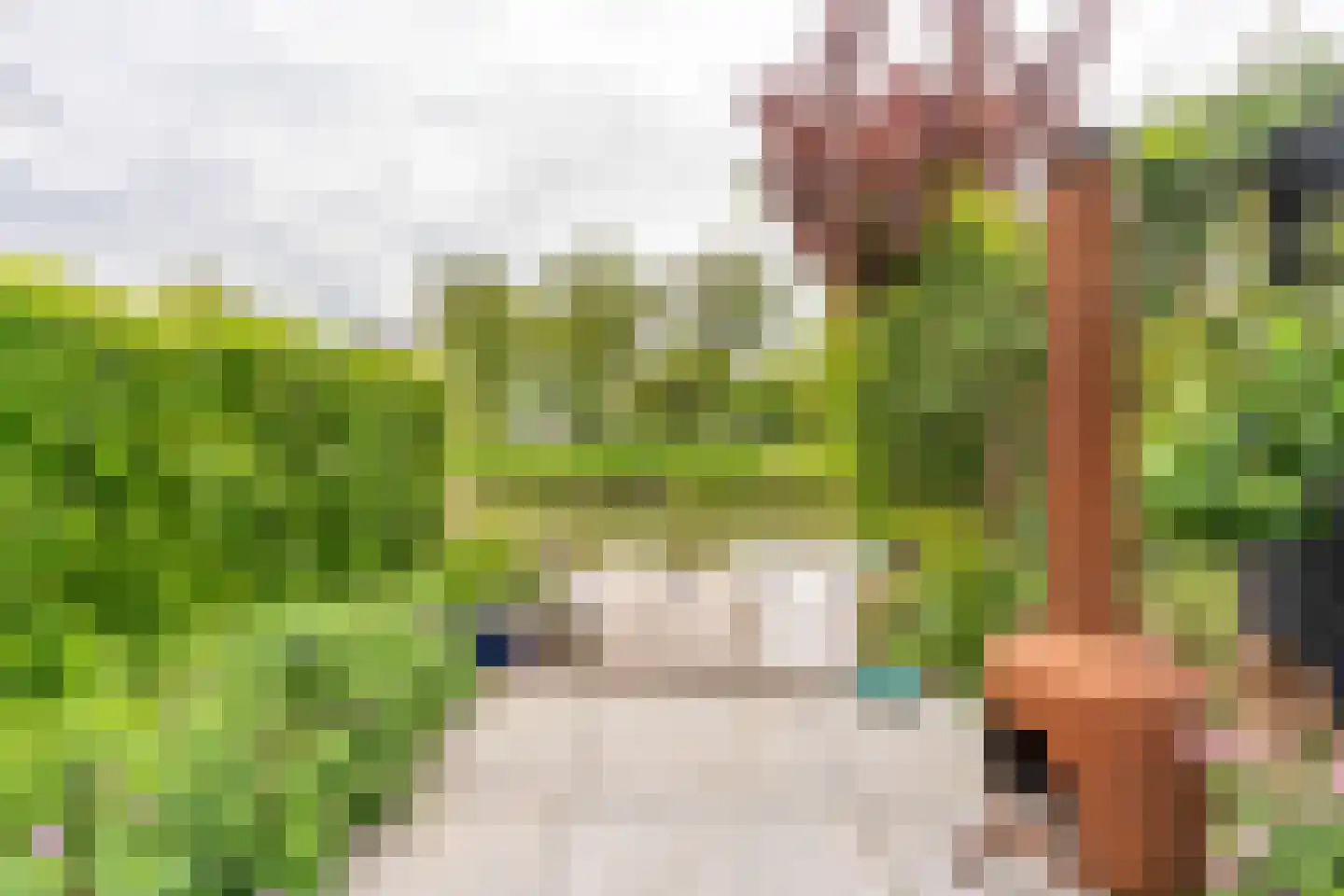 Hoornbloemlaan 21 Vleuten thumbnail 31