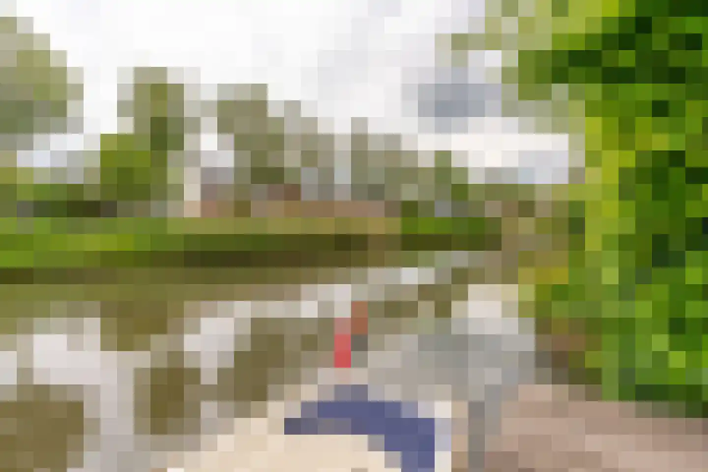 Hoornbloemlaan 21 Vleuten thumbnail 33