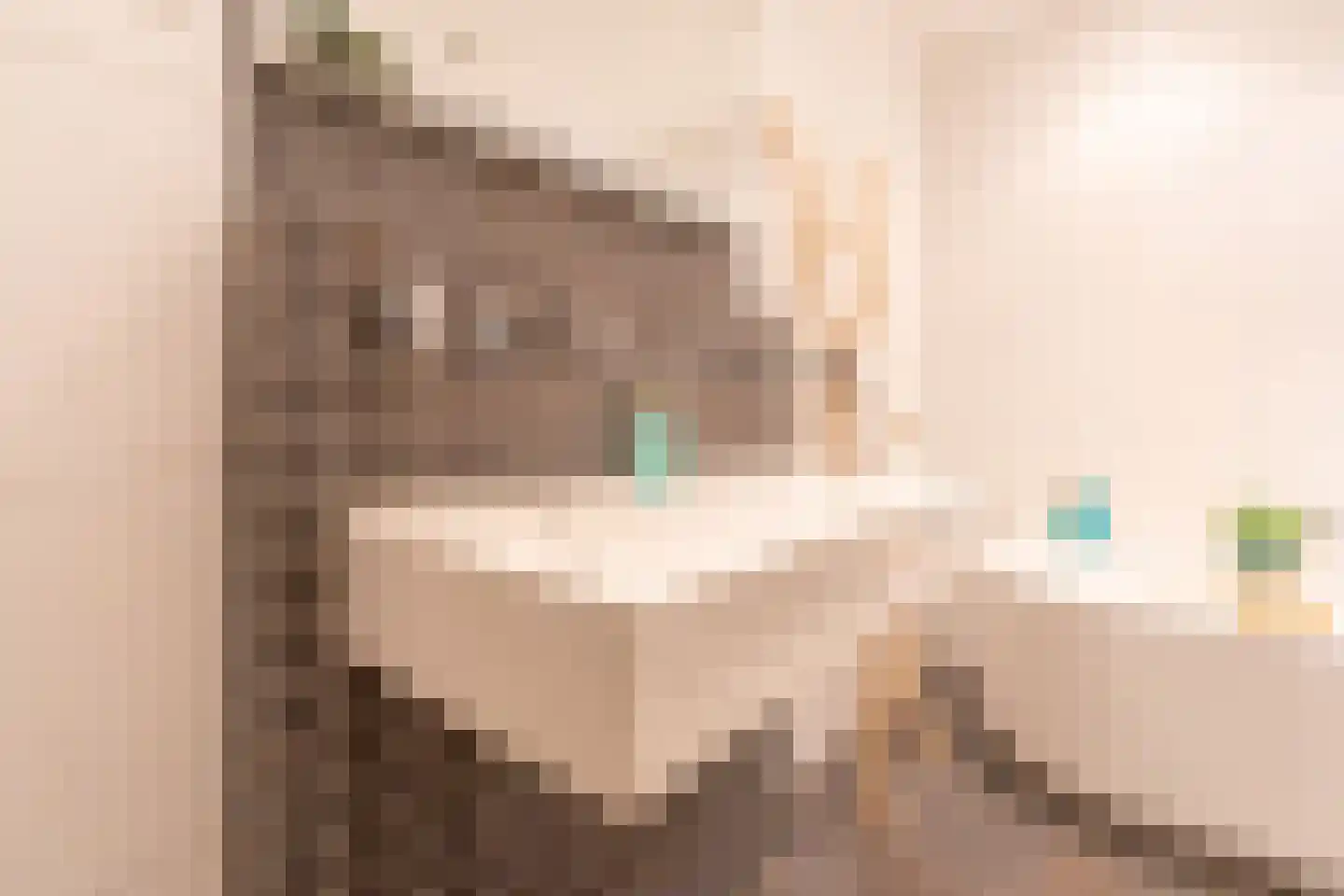 Hoornbloemlaan 21 Vleuten thumbnail 47