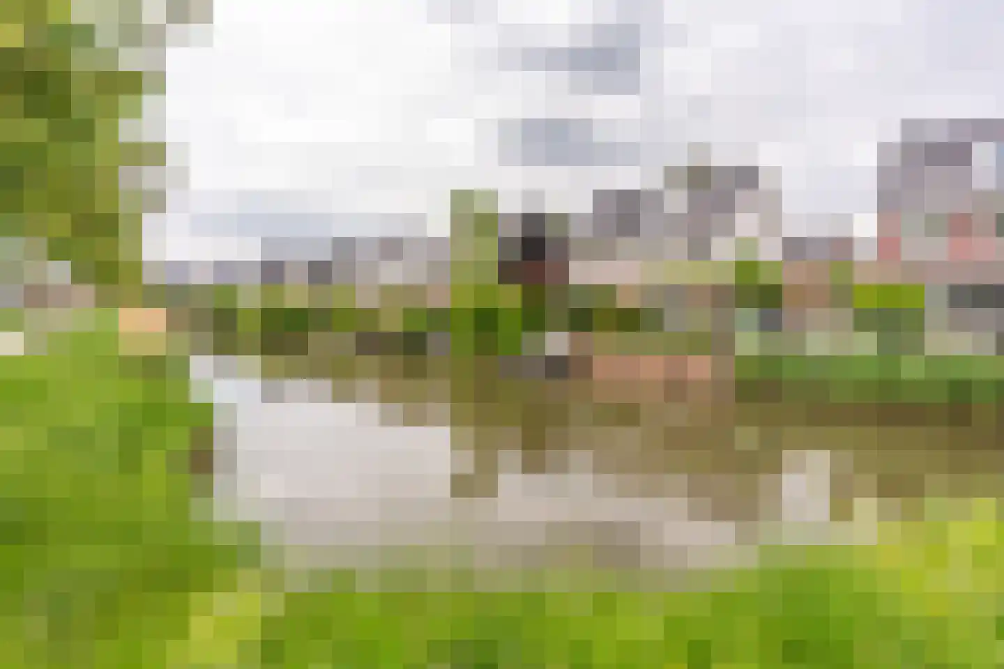 Hoornbloemlaan 21 Vleuten thumbnail 57