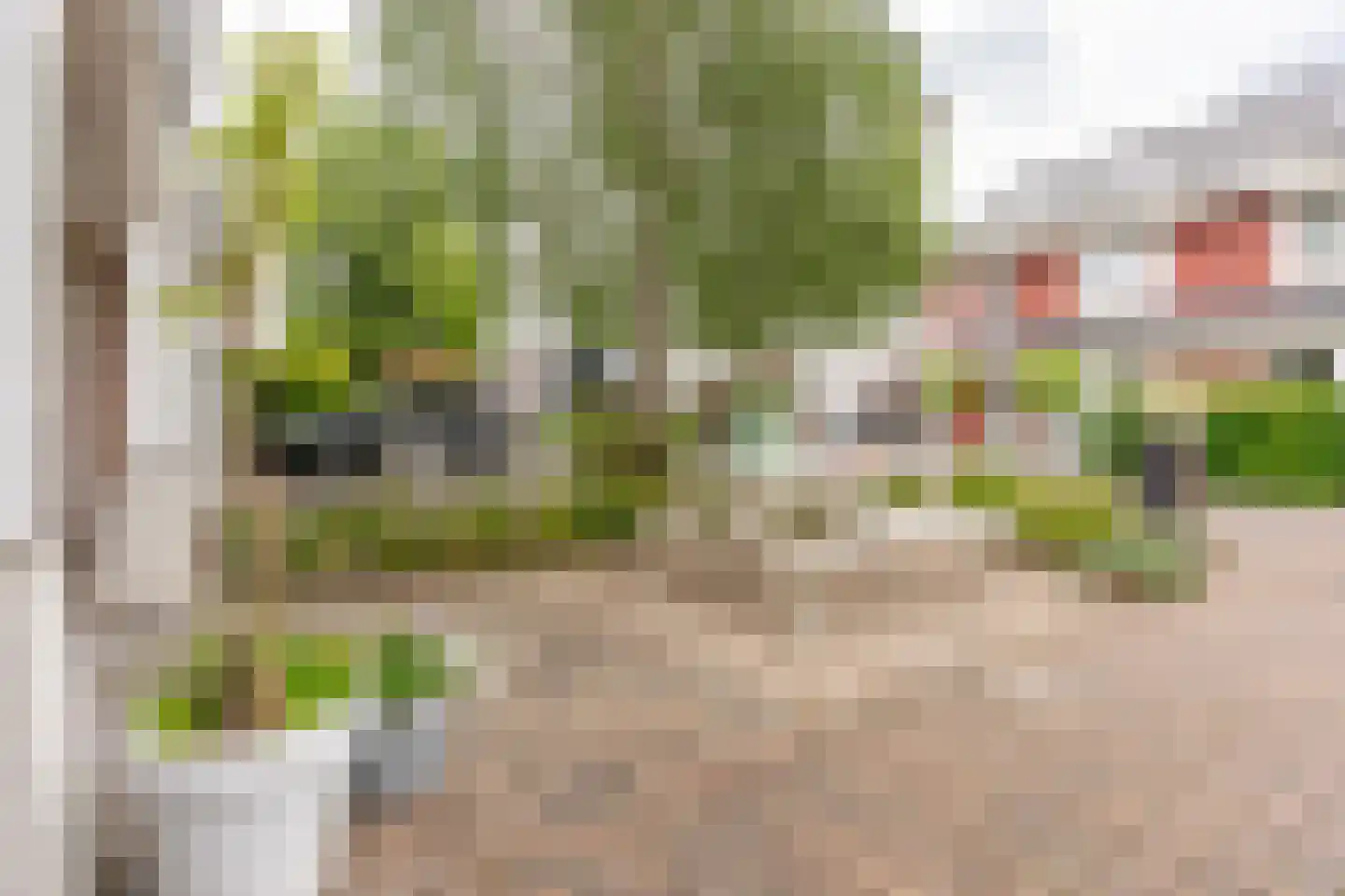 Hoornbloemlaan 21 Vleuten thumbnail 58