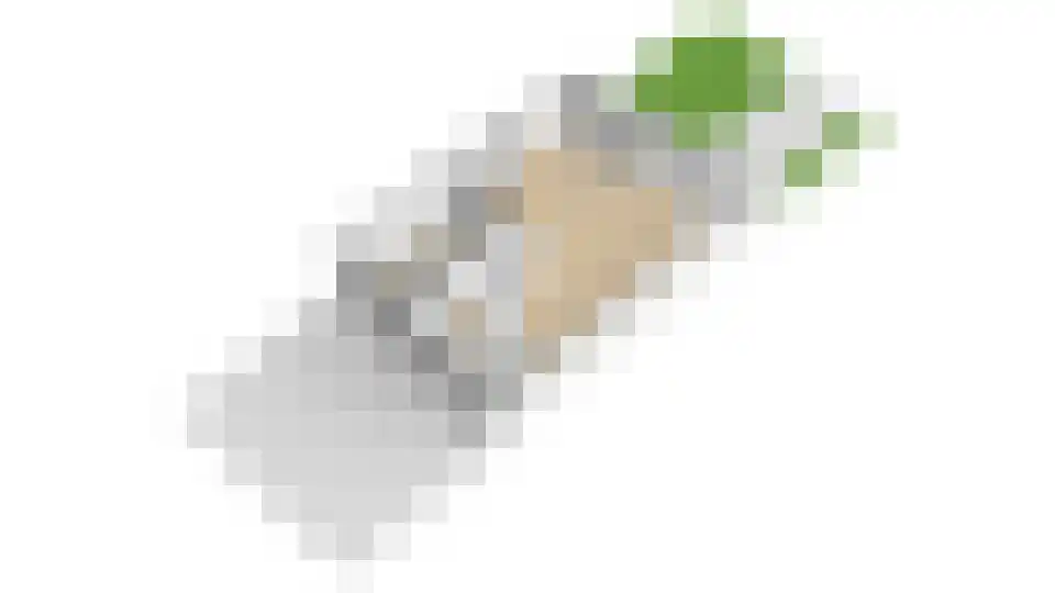Hoornbloemlaan 21 Vleuten thumbnail 66