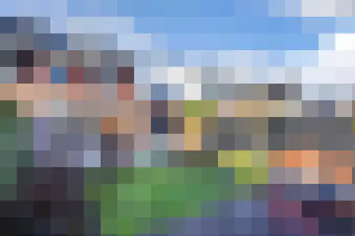 Hoornbloemlaan 9 Vleuten thumbnail 13