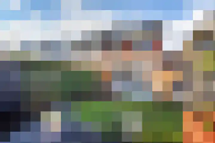 Hoornbloemlaan 9 Vleuten thumbnail 14