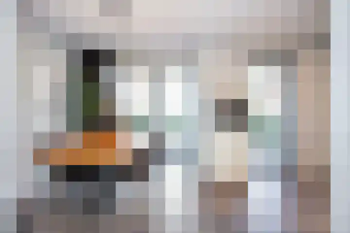 Hoornbloemlaan 9 Vleuten thumbnail 18