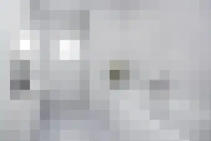 Hoornbloemlaan 9 Vleuten thumbnail 26
