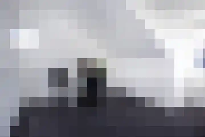 Hoornbloemlaan 9 Vleuten thumbnail 37