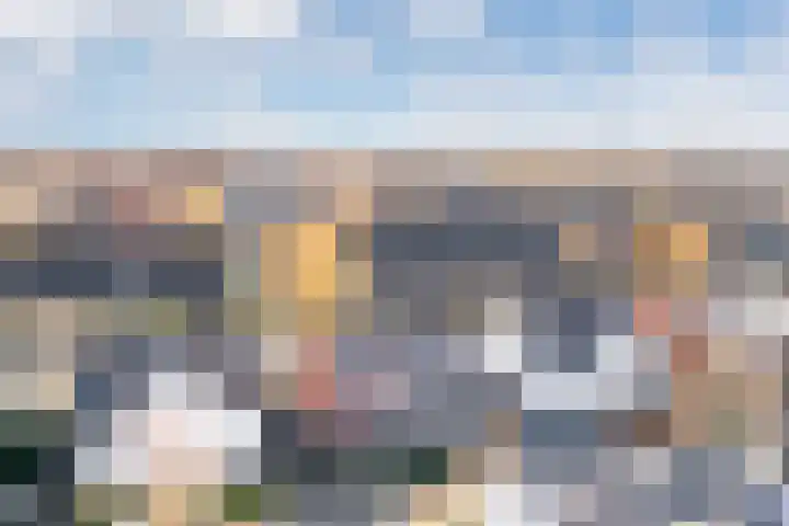 Hoornbloemlaan 9 Vleuten thumbnail 46